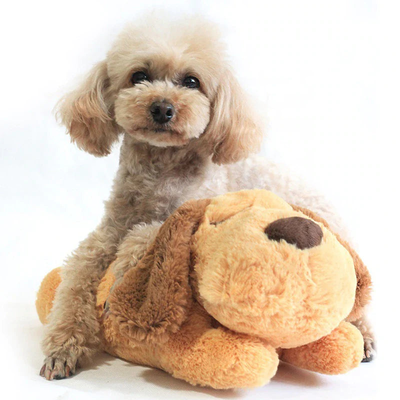 Plush Toy